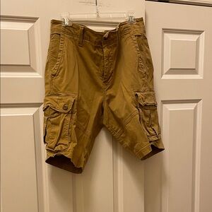 American Eagle Outfitters Brown Cargo Shorts